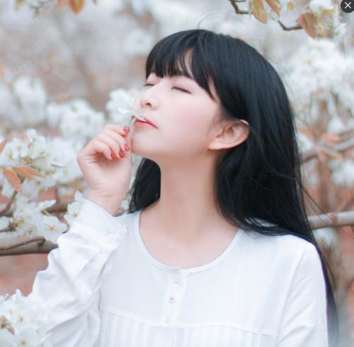 会津（高荷惠的故乡） - 音乐MV高清在线观看 - APP看电影